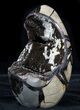 Polished Septarian Geode Sculpture - Black Crystals #55015-2